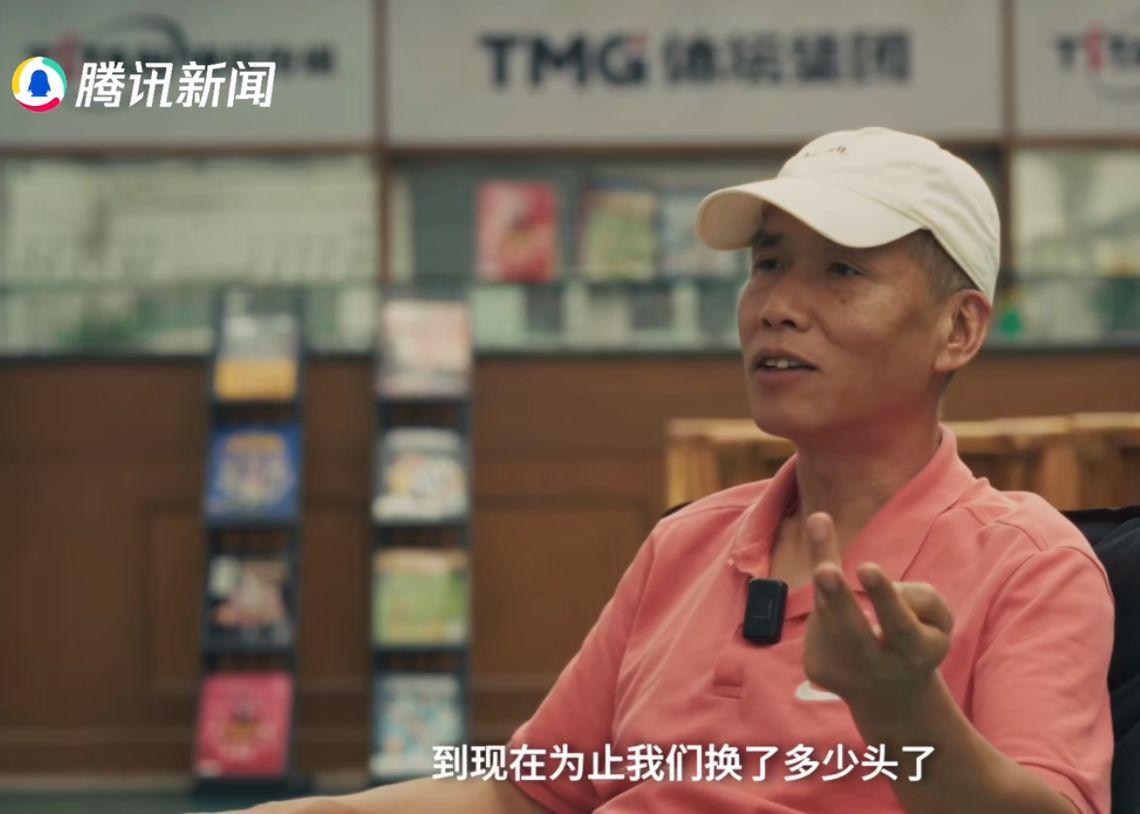 wd, 但是 wd, 但是