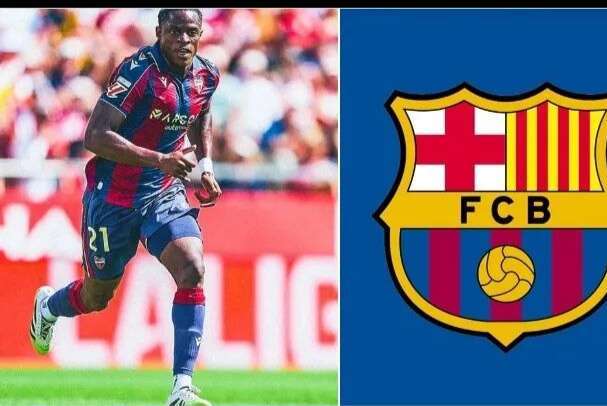 往之, 诺坎普心向 往之, 诺坎普心向